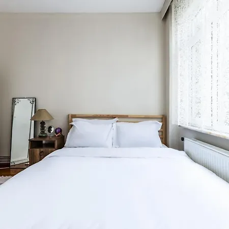 Apartment Furnished And Spacious Flat In Central Kadikoy