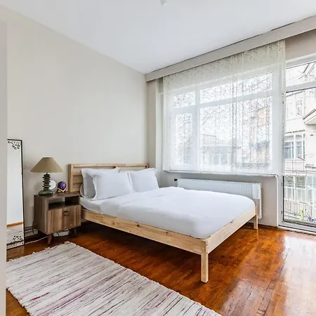 Furnished And Spacious Flat In Central Kadikoy Lejlighed Istanbul